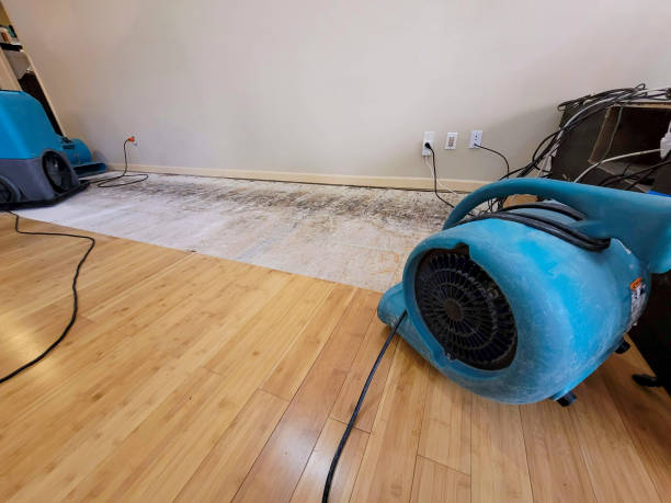 Professional Burst Pipe Water Damage technician working in Kernersville, NC